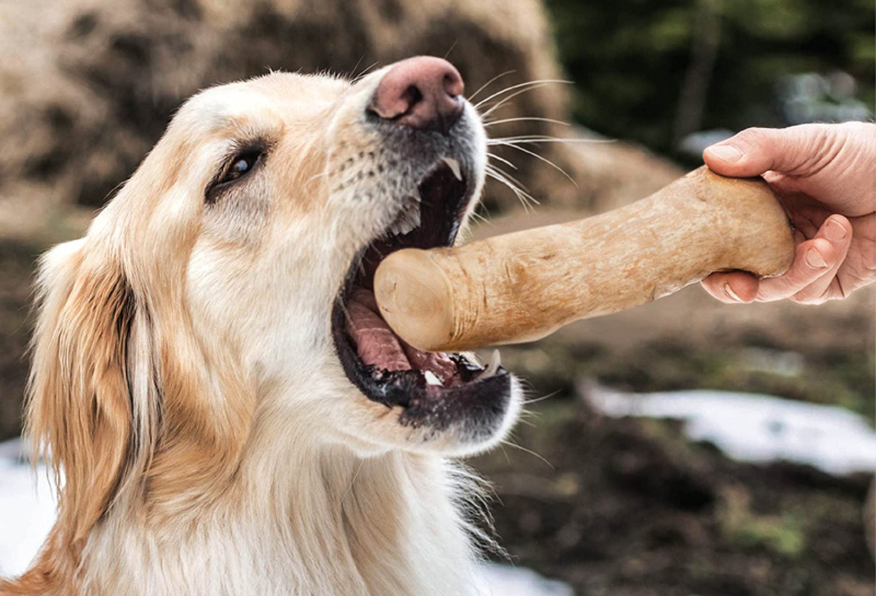 coffee wood dog chew