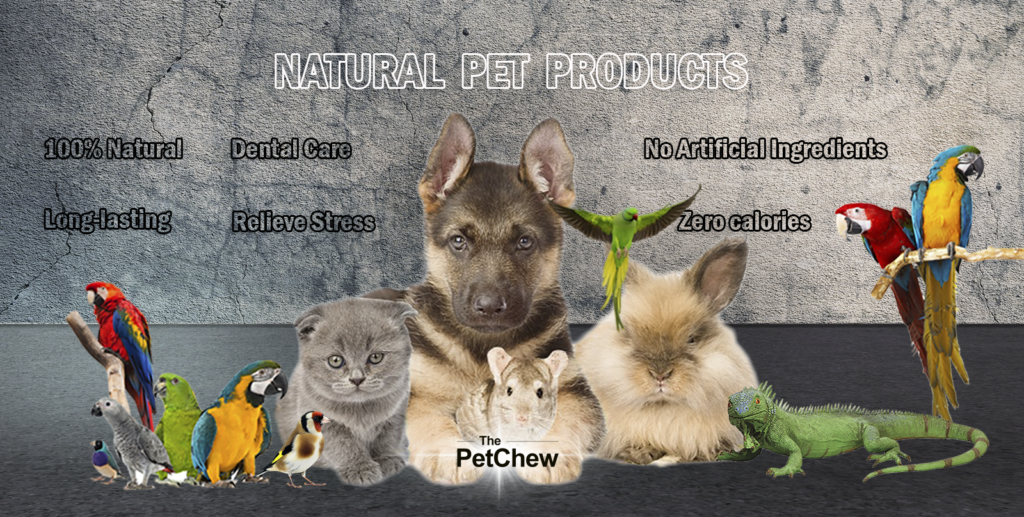 the pet chew